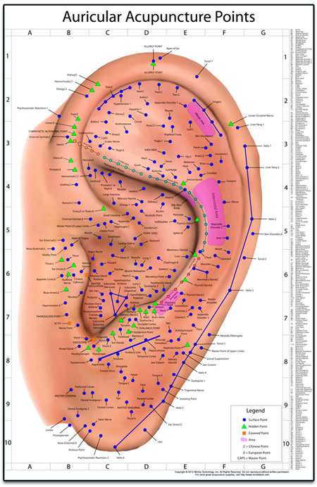 A Behind The Scenes Look At Auriculo 3D - Acupuncture Technology News