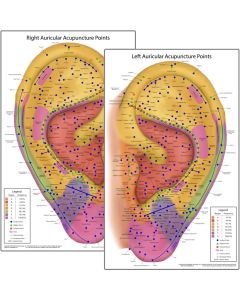 Ultimate Auriculotherapy Reference Card