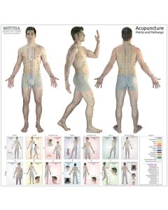 The ULTIMATE Acupuncture Wall Chart