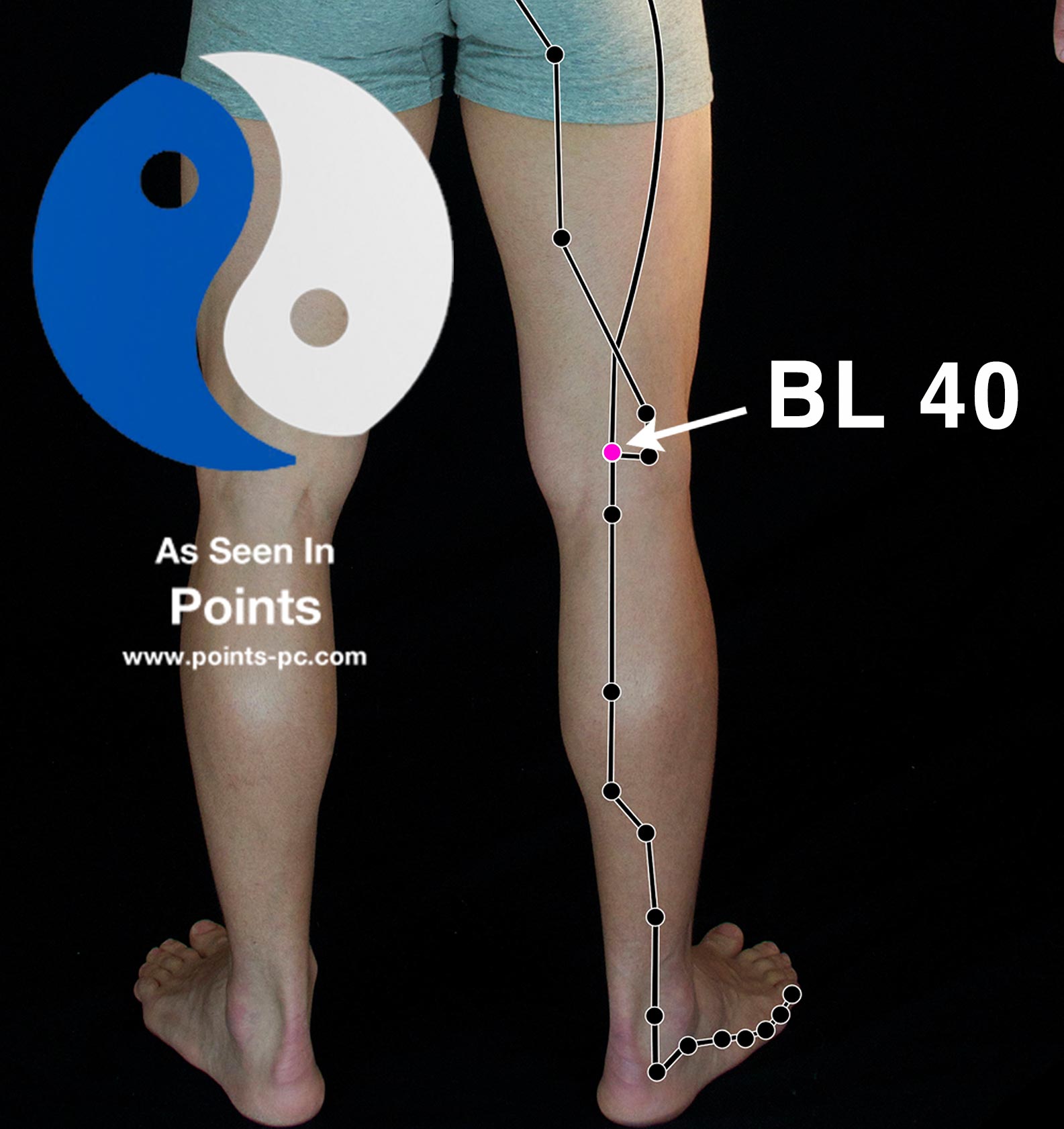 Acupuncture Point: Bladder 40 (BL 40) - Acupuncture Technology News