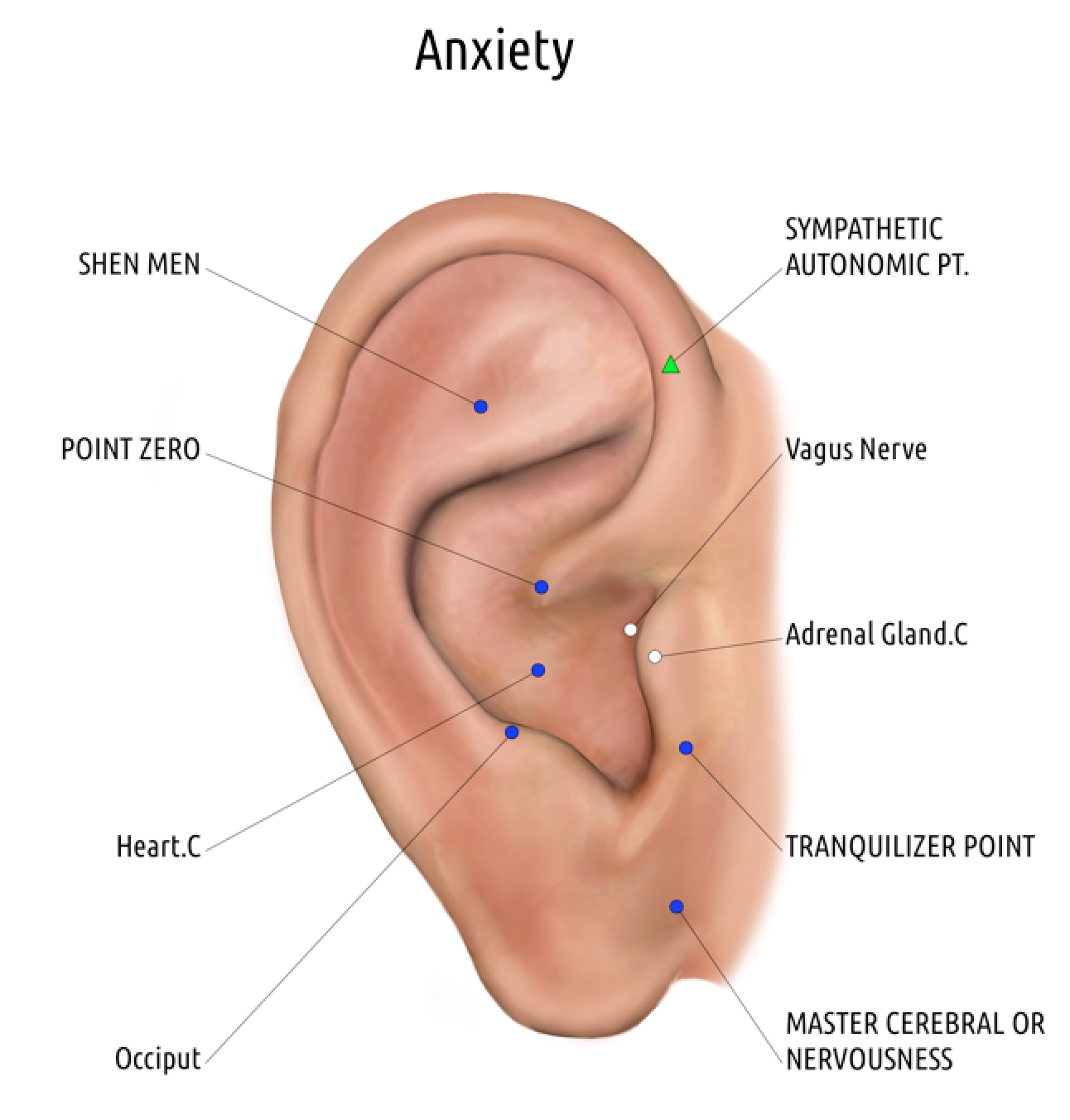 auriculomedicine-transform-to-next-level-healing-acupuncture