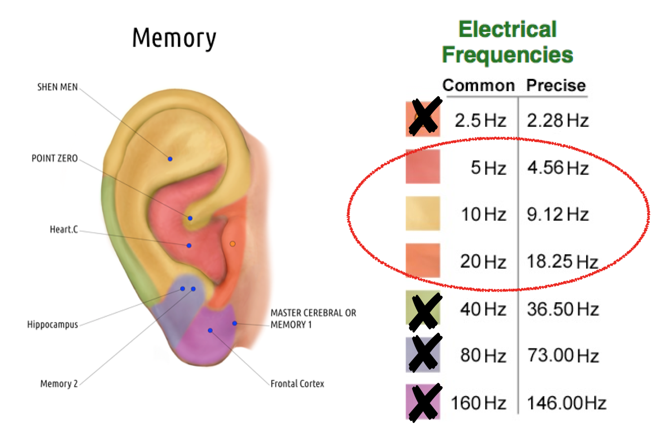 The Pointoselect Digital: My New Favorite Auriculotherapy Tool - Part 2