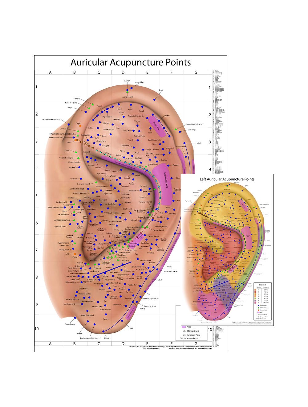 auriculotherapy-wall-chart-bundle